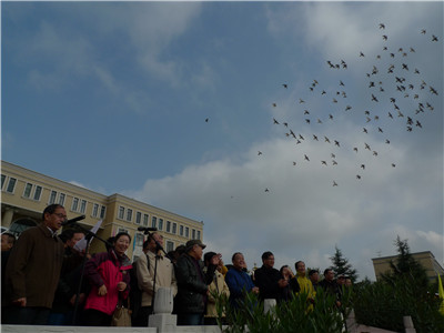 L1040047_.jpg